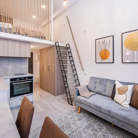 Апартаменты Sigma Skyline Loft In Vilnius-15